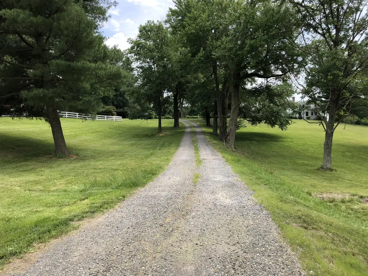 A long gravel driveway between trees and grass