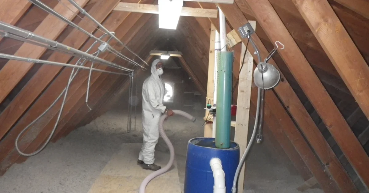A hatchery worker blowing cellulose insulation across an attic floor.