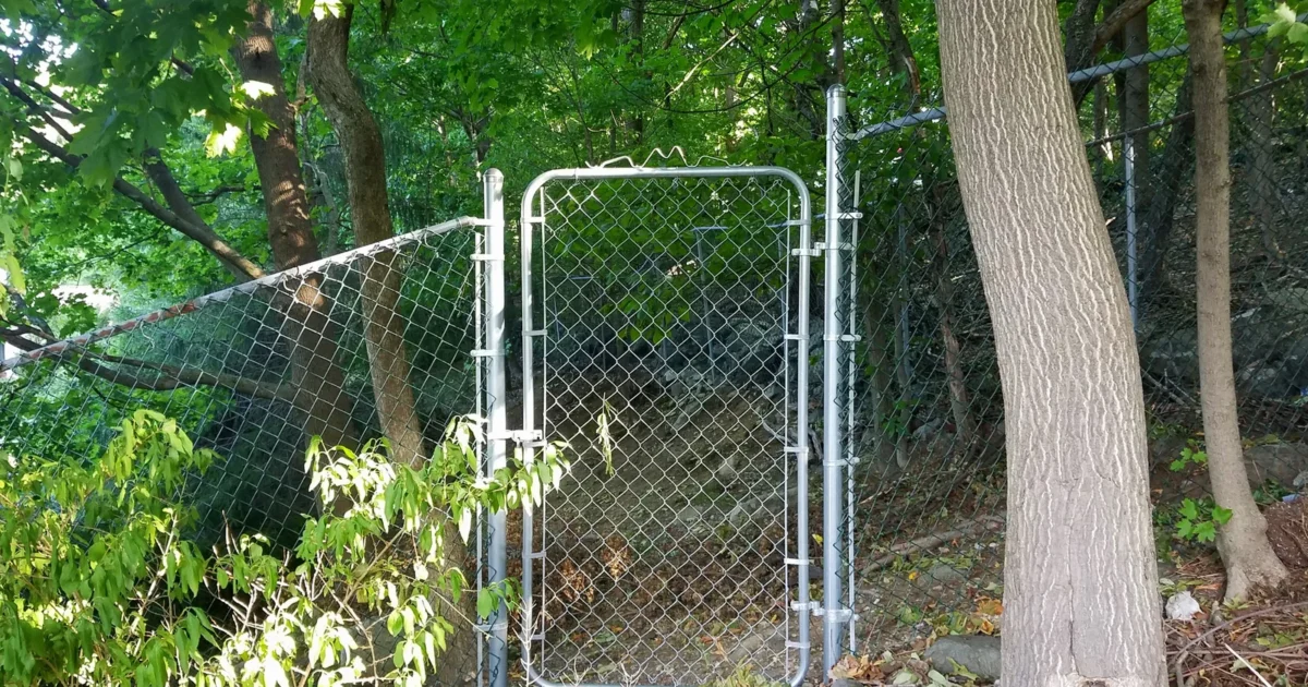 A chain-link fence and matching walk gate beside trees in a leafy yard.