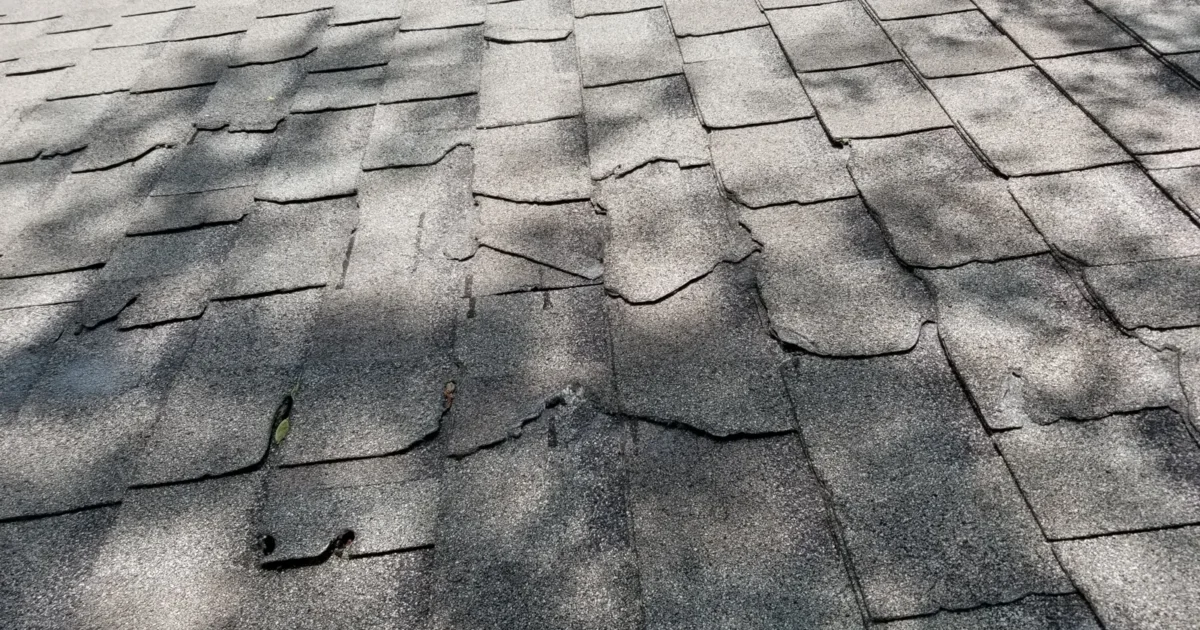 Asphalt roof shingles damaged by branches during a thunderstorm.