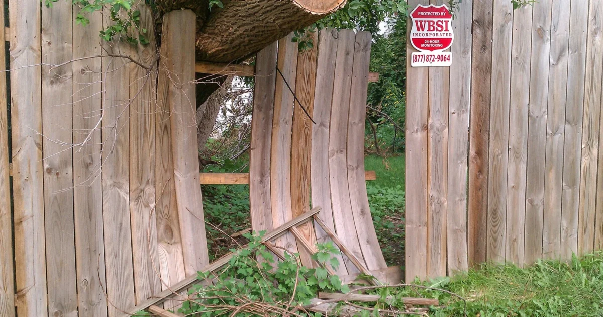 A fallen tree has broken boards in a wooden privacy fence in Minneapolis.