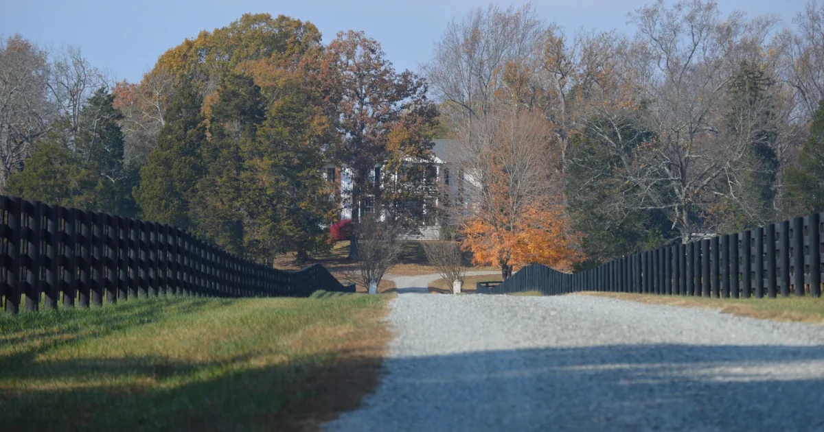 A gravel driveway leading between dark fences toward a house and autumn trees.