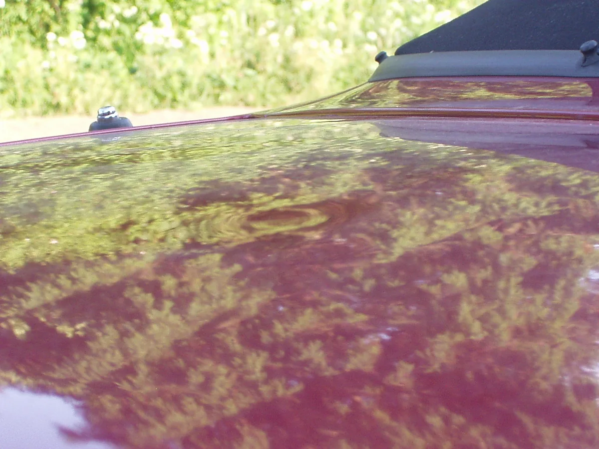 The red roof of a car seen at a low angle, covered in small hail dents that show in the reflection