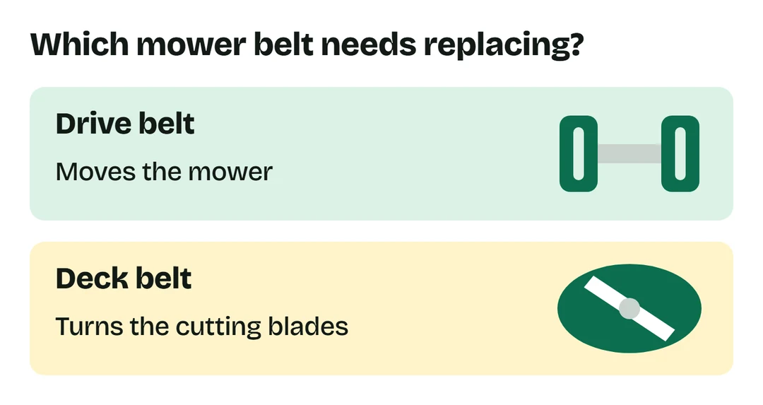 A drive belt moves the mower. A deck belt turns the cutting blades.