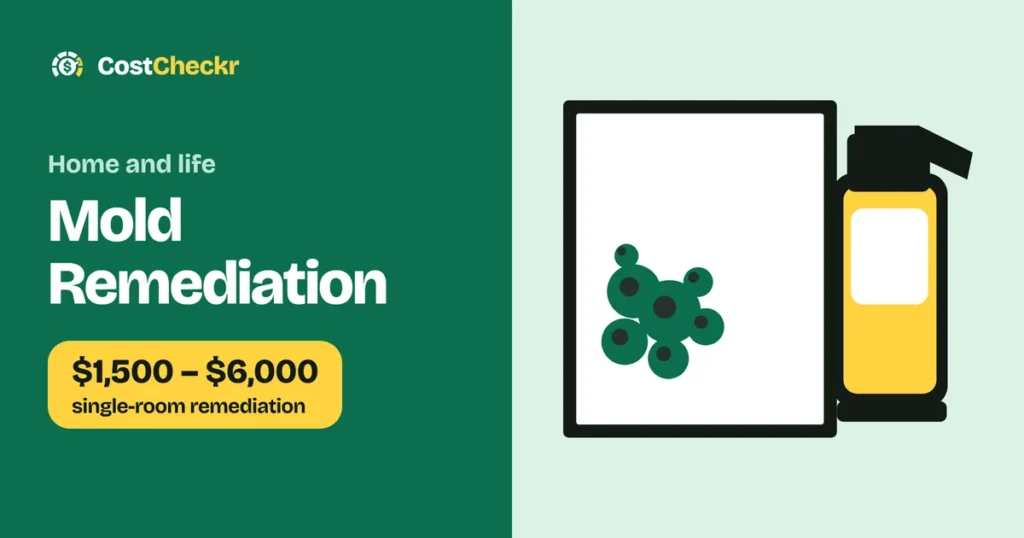 Mold Remediation, $1,500 to $6,000 single-room remediation