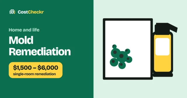 Mold Remediation, $1,500 to $6,000 single-room remediation
