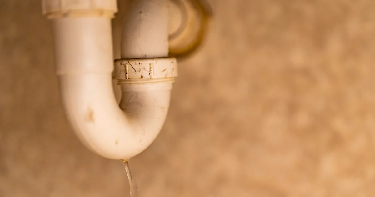 A real white sink drain trap with water dripping from its lower bend.