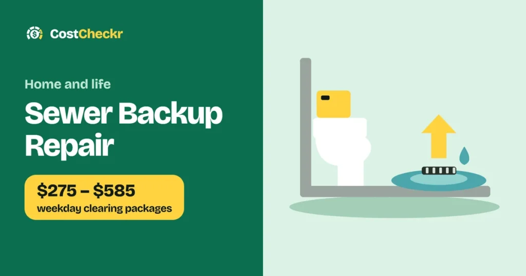 Sewer Backup Repair, $275 to $585 weekday clearing packages