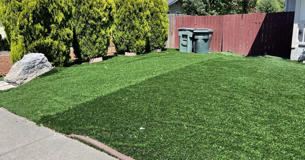 Artificial grass covers a residential yard beside a driveway, hedge and fence in Sonoma, California.