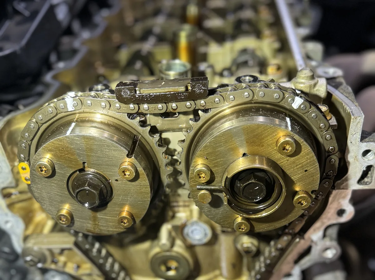 The timing chain and two cam gears at the front of a car engine, with the front cover removed